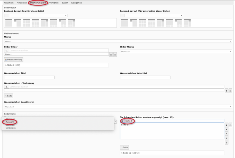 Datei:TYPO3 Bild3.png