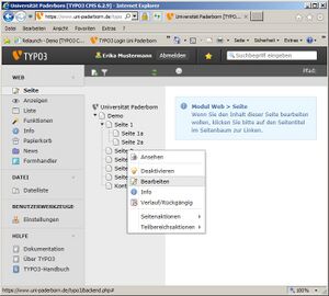 Screenshot Webanwendungen Typo3 Box fuer Verlinkungen bereitstellen 14.jpg