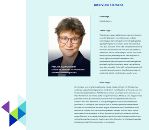Typo3-interview-element-06.png