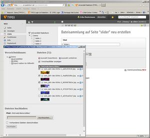 Screenshot Webanwendungen Typo3 Slider erstellen 5.jpg