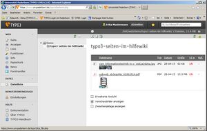 Screenshot Webanwendungen Typo3 Dateien hochladen 5.jpg