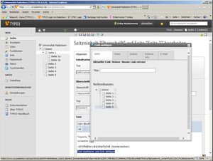 Screenshot Webanwendungen Typo3 Editor 5.jpg