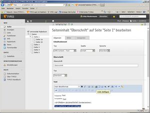 Screenshot Webanwendungen Typo3 Editor 4.jpg