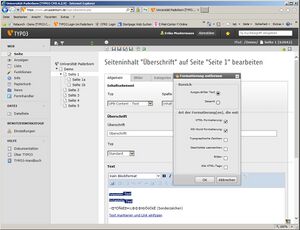 Screenshot Webanwendungen Typo3 Editor 7.jpg