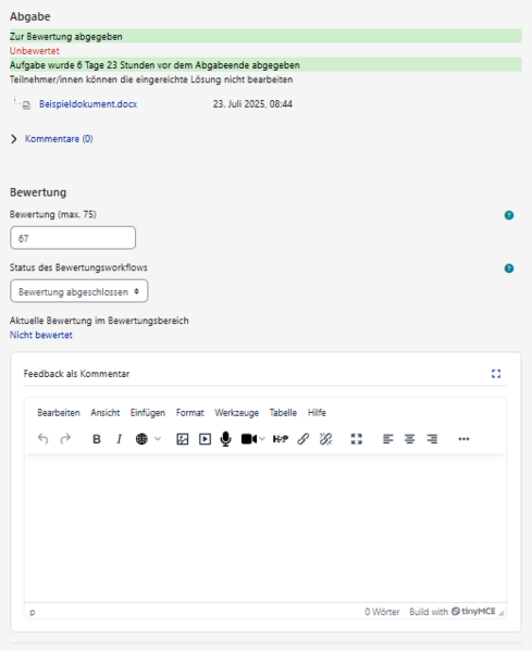 Datei:PANDA Abgabe Feedback.png