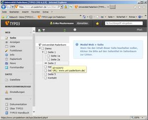 Screenshot Webanwendungen Typo3 Box fuer Verlinkungen bereitstellen 19.jpg